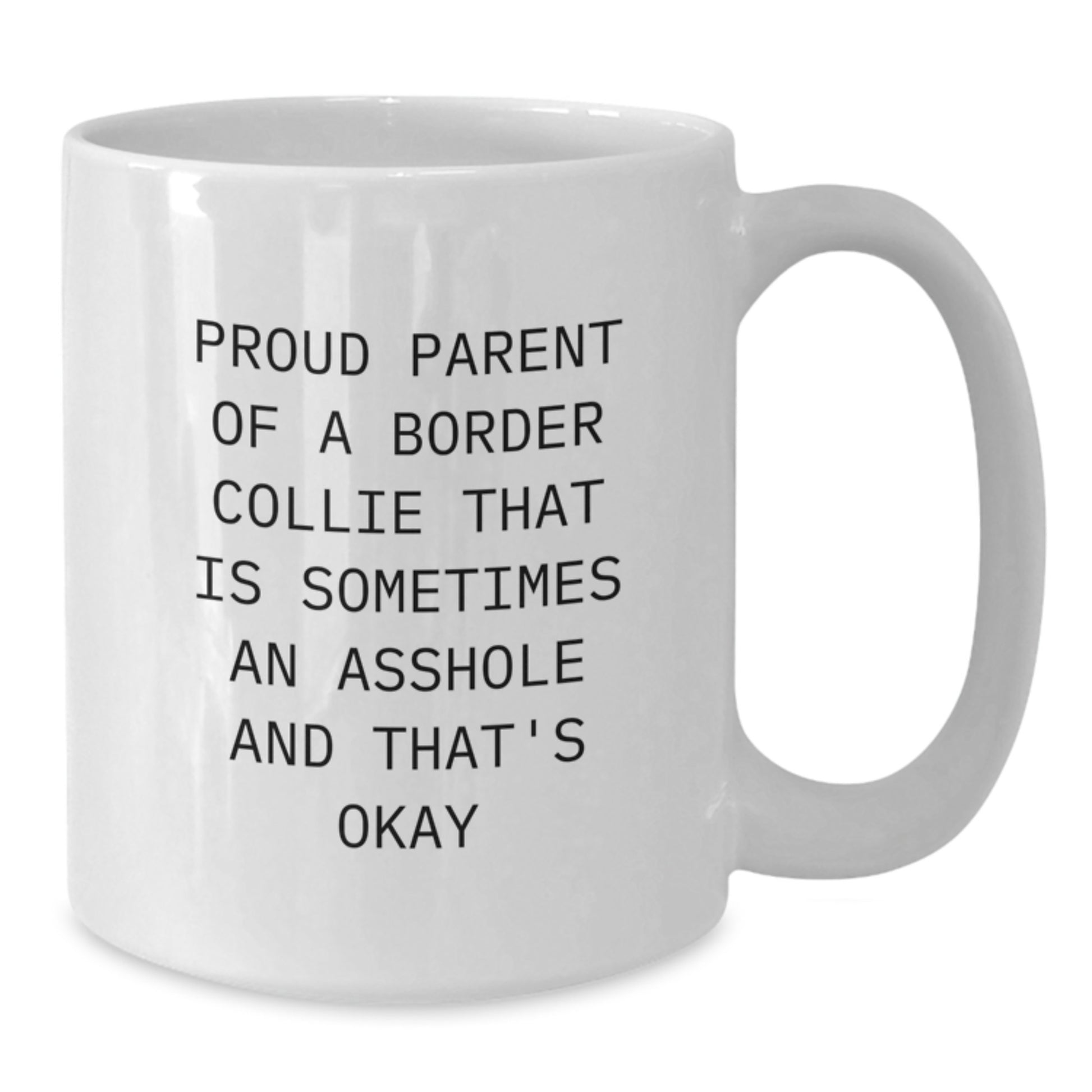 Funny Border Collie Dog Gifts from Friends for Graduation Unique, White Coffee Mug, Proud Parent Quote, Gifts for Border Collie Lovers, Perfect Mug for Men or Women - Additional