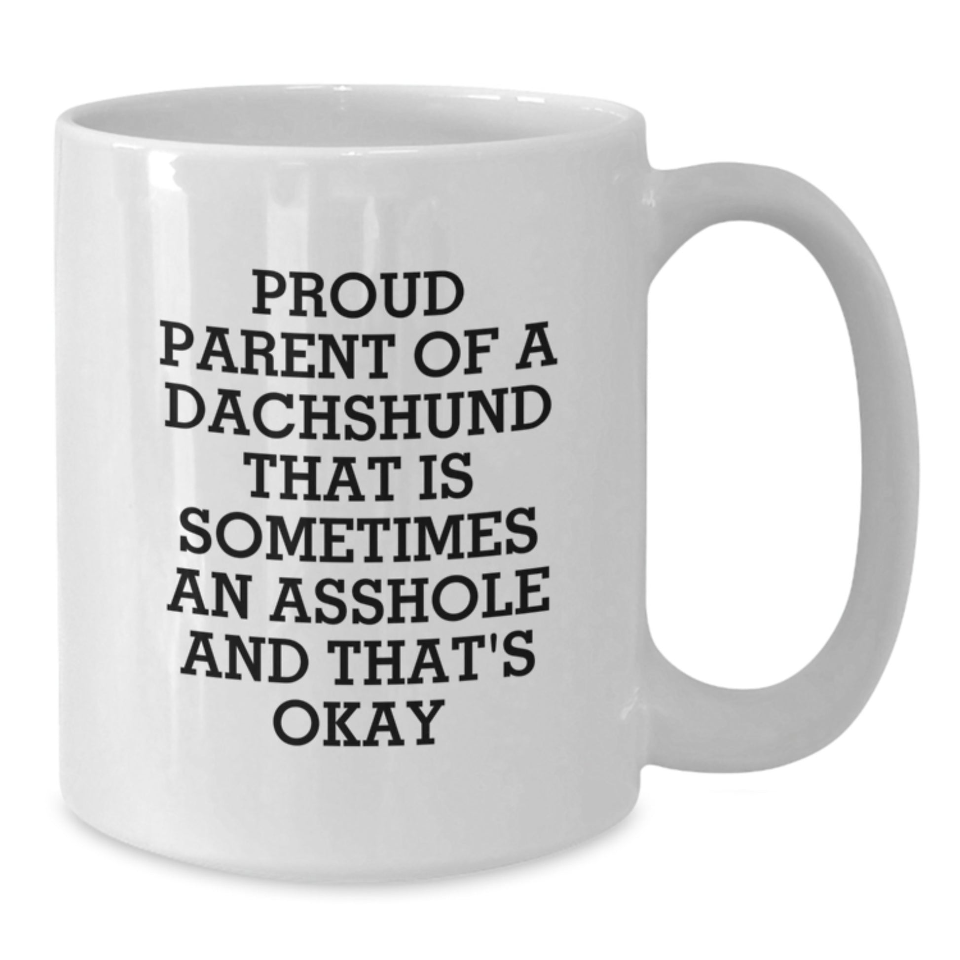 Funny Dachshund Dog Gifts for Mom on Mother's Day - Proud Parent Mug, White Coffee Mug with 'Sometimes an Asshole and That's Okay' Quote - Additional