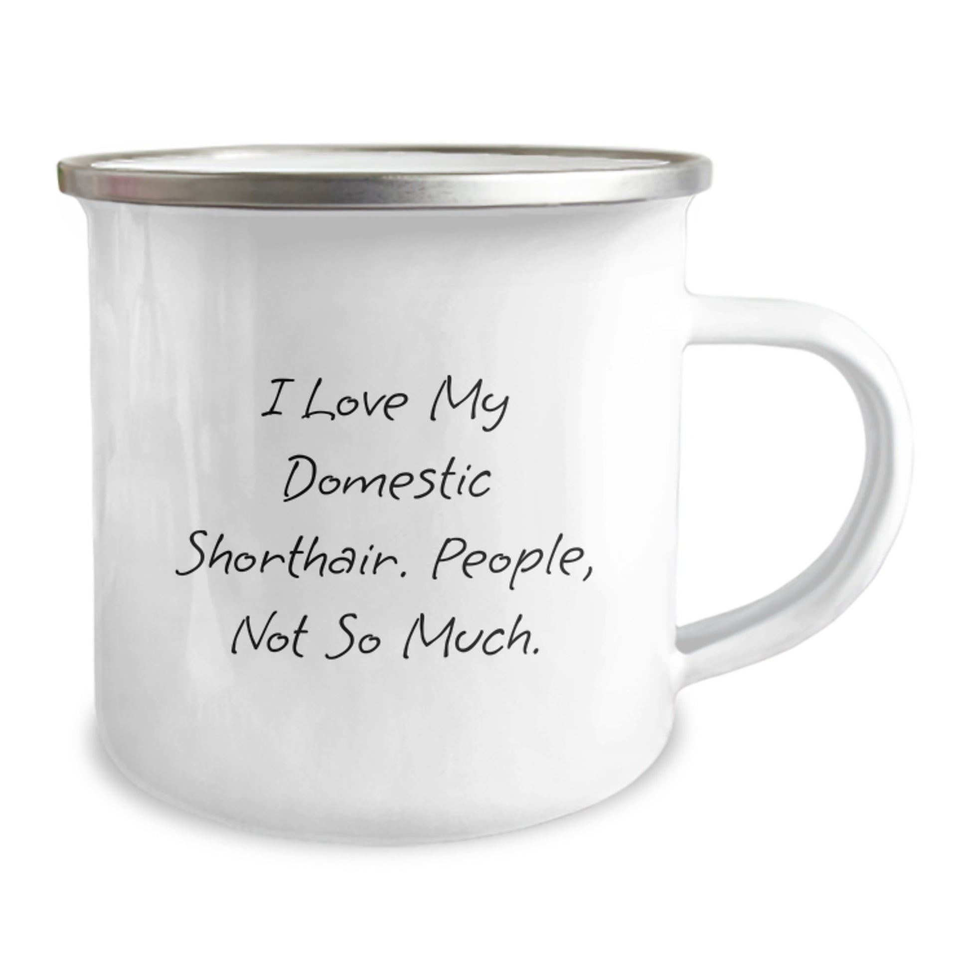 Domestic Shorthair Cat Lover Gifts - Funny Birthday Mugs for Women Friends from Men, 12 oz Stainless Steel Enamel - Image 2