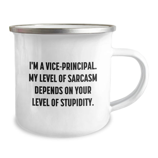 Funny Vice-principal Gifts for Men, Vice-principal Sarcasm Graduation Unique Gifts from Friends - Vice-principal Camping Mug - Image 2