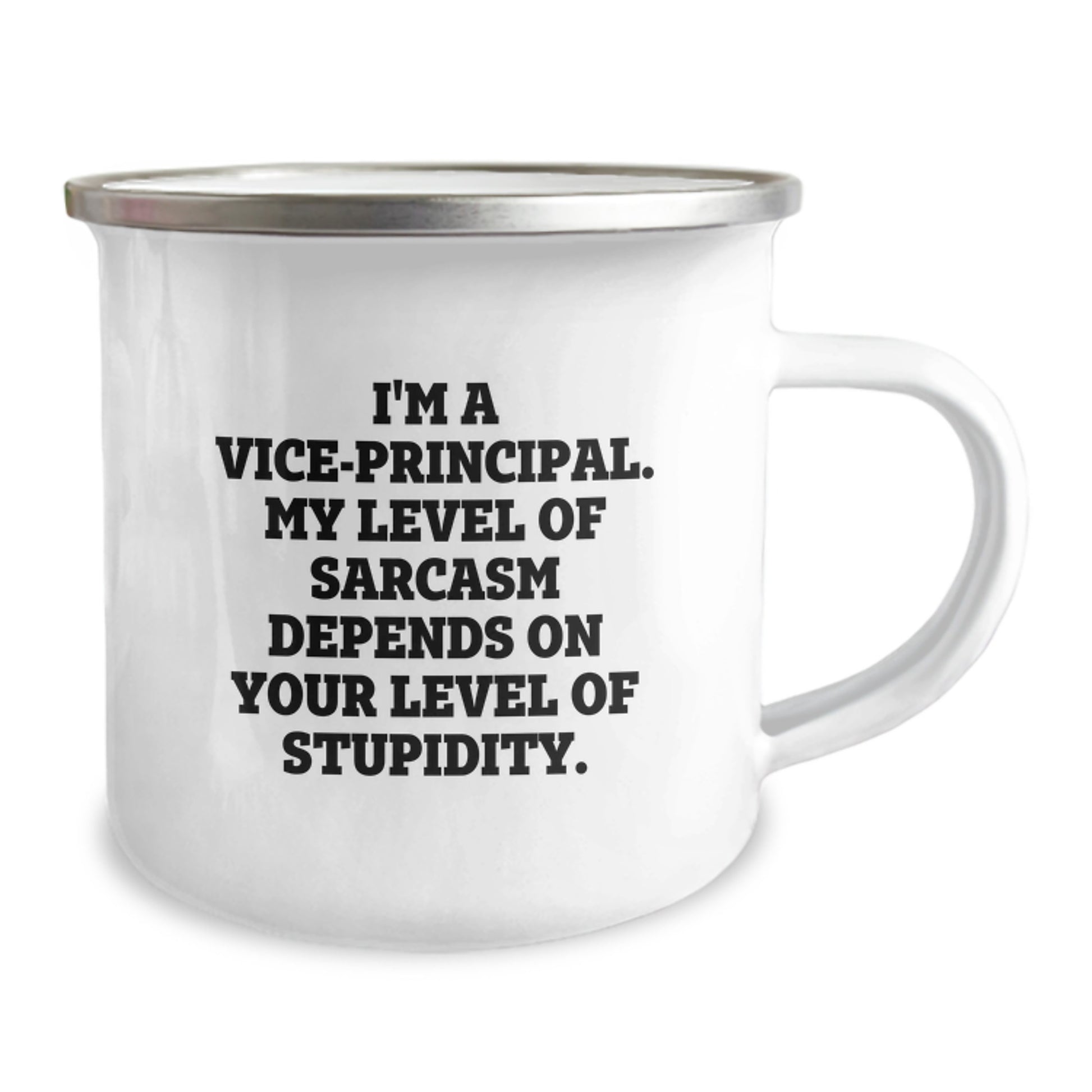 Funny Vice-principal Gifts for Men, Vice-principal Office Humor Graduation Unique Gifts from Friends, Vice-principal Camping Mug - Image 2