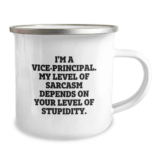 Funny Vice-principal Gifts for Men, Vice-principal Office Humor Graduation Unique Gifts from Friends, Vice-principal Camping Mug - Image 2