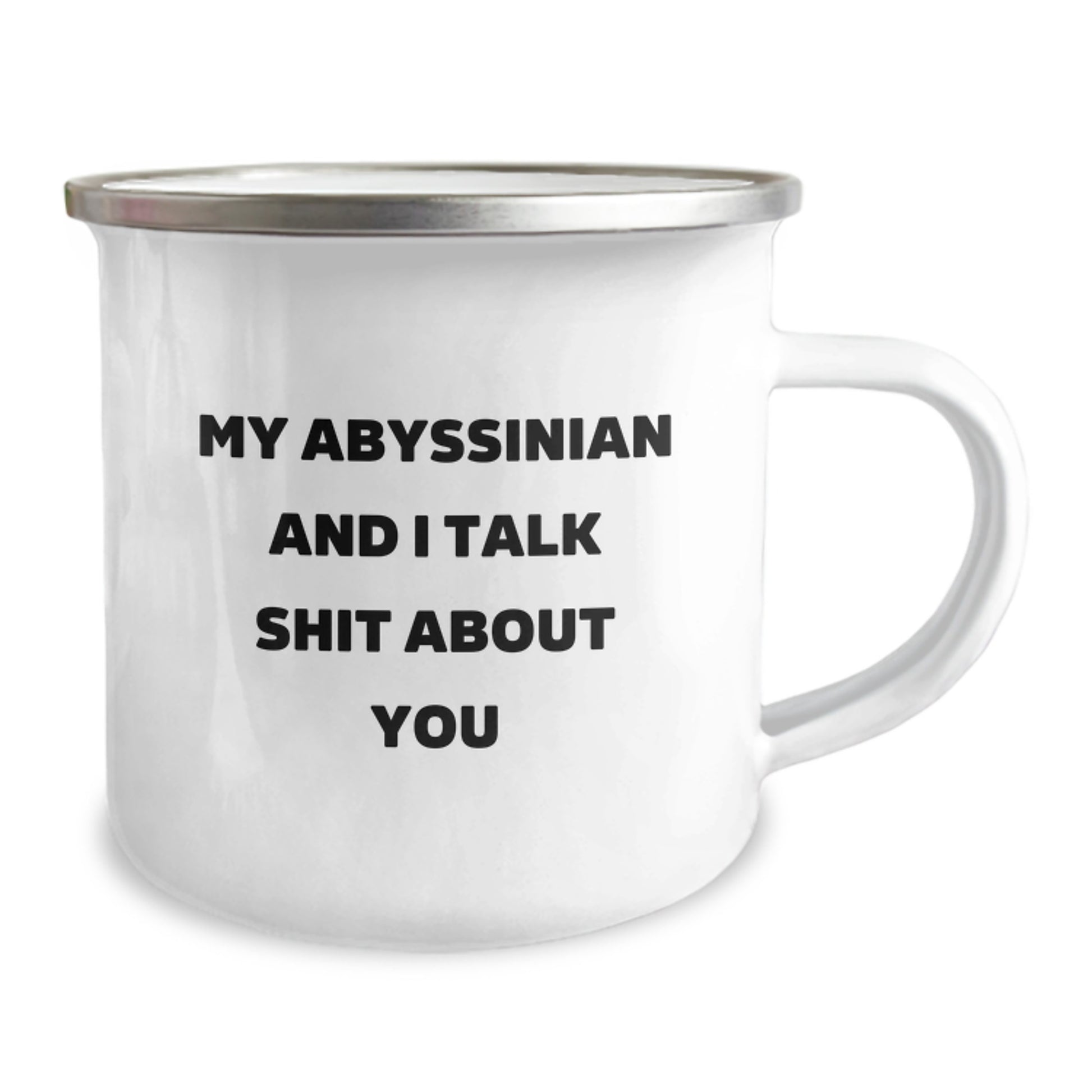Funny Abyssinian Cat Gifts for Women, Camping Mug, Mother's Day Unique Gifts from Friends, Family - Image 2