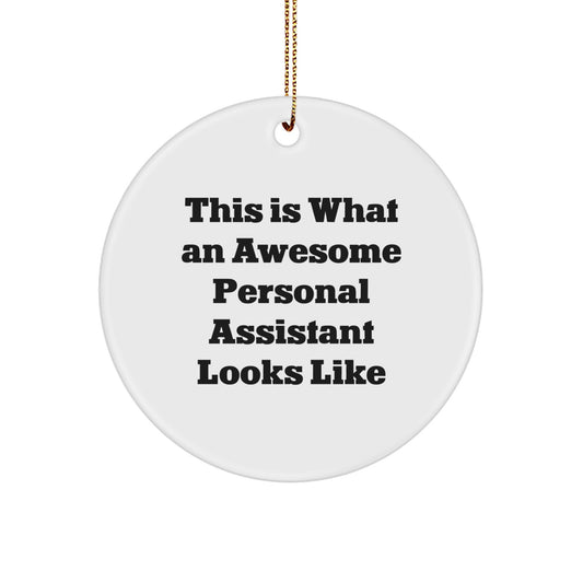 Funny Personal Assistant Gifts for Her, Cute Circle Ornaments for Home, This Is What An Awesome Personal Assistant Looks Like Christmas Decorations - Image 1
