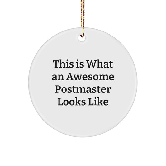 Funny Postmaster Gifts for Christmas Unique Ornaments from Friends and Family - 'This Is What An Awesome Postmaster Looks Like' Circle Shape - Image 1