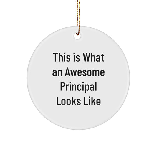 Funny Principal Gifts from Men to Principal, Christmas Unique Circle Ornaments for Principal, This Is What An Awesome Principal Looks Like - Image 1