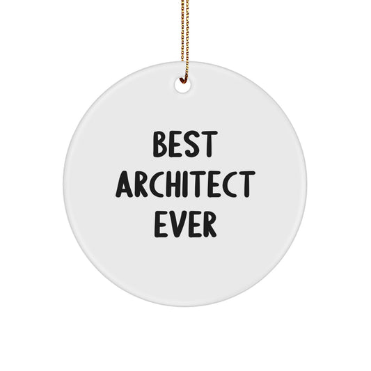 Funny Architect Quotes Gifts for Coworkers, Unique Circle Ornament, Best Architect Ever, Christmas Unique Gifts from Friends - Image 1