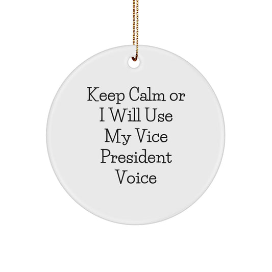 Funny Vice President Gifts from Friends to Office Vice President for Christmas Unique Circle Ornaments with 'Keep Calm Or I Will Use My Vice President Voice' Quote - Image 1