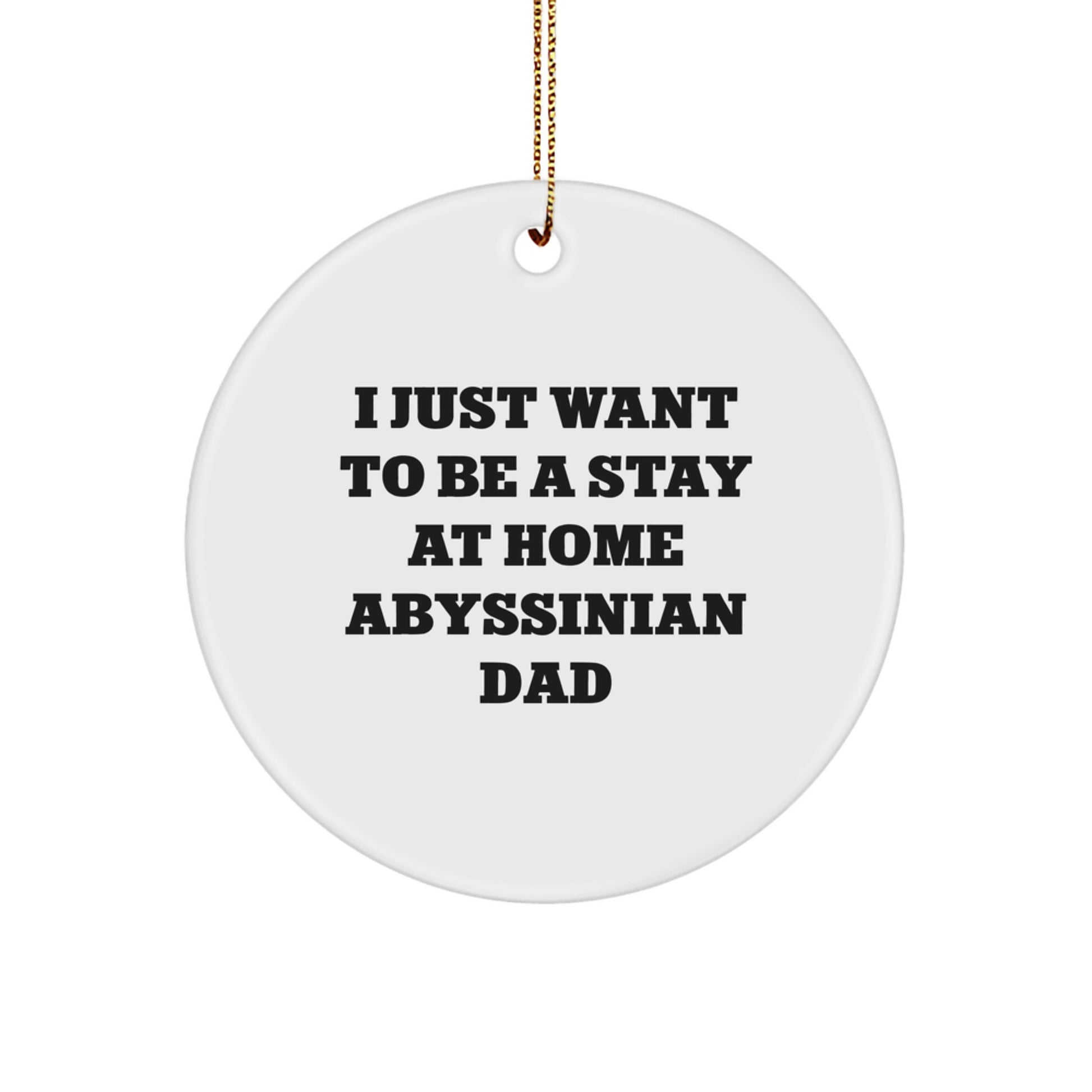 Abyssinian Cat Circle Ornament Gifts from Dad to Family Members This Christmas - Funny Cat Lover Decorations - Stay at Home Abyssinian Dad - Image 1