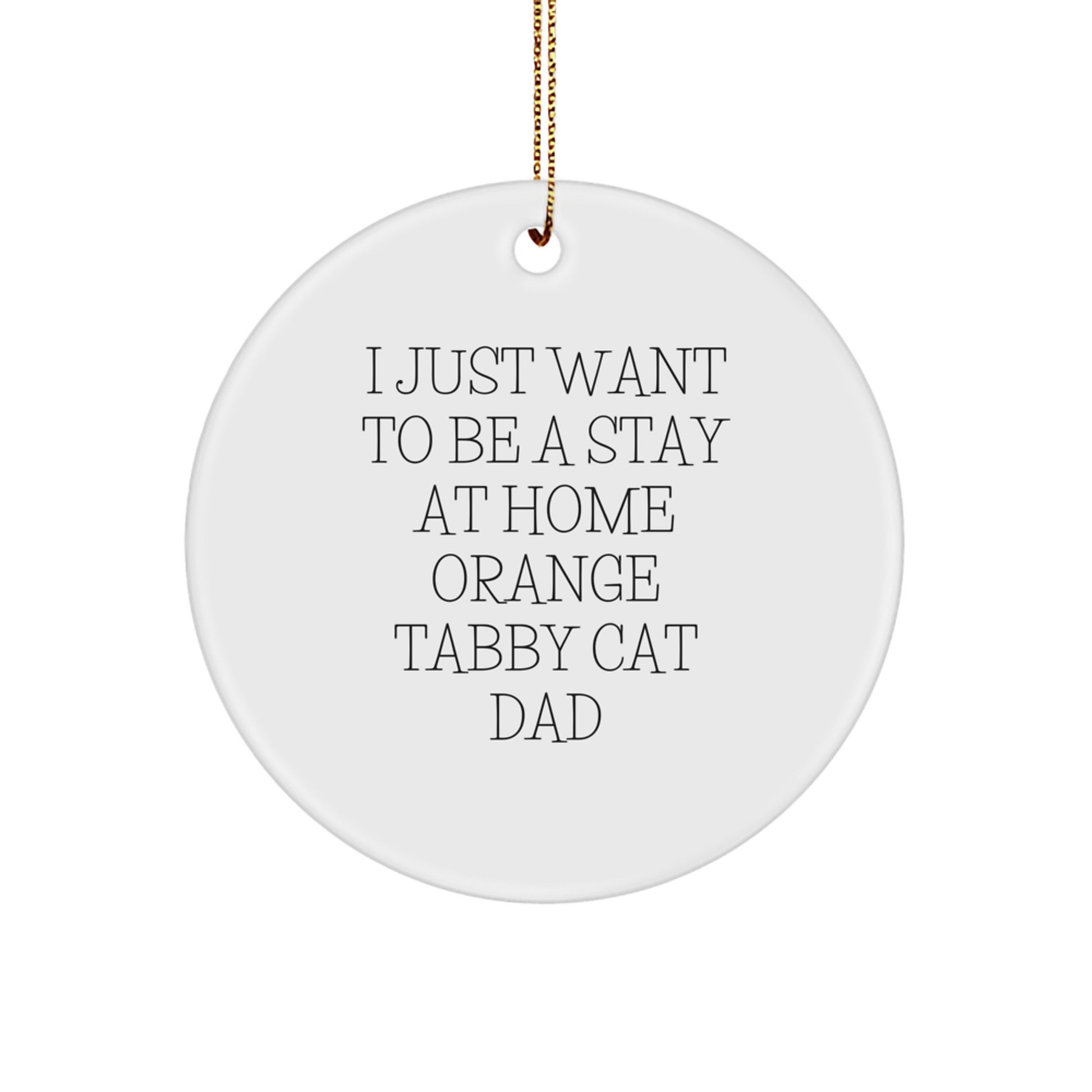 Funny Orange Tabby Cat Dad Gifts from Men Christmas Unique Gifts for Orange Tabby Cat Lovers, Orange Tabby Cat Circle Ornament - I Just Want To Be A Stay At Home Orange Tabby Cat Dad - Image 1