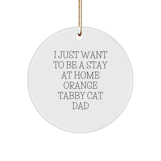 Funny Orange Tabby Cat Dad Gifts from Men Christmas Unique Gifts for Orange Tabby Cat Lovers, Orange Tabby Cat Circle Ornament - I Just Want To Be A Stay At Home Orange Tabby Cat Dad - Image 1