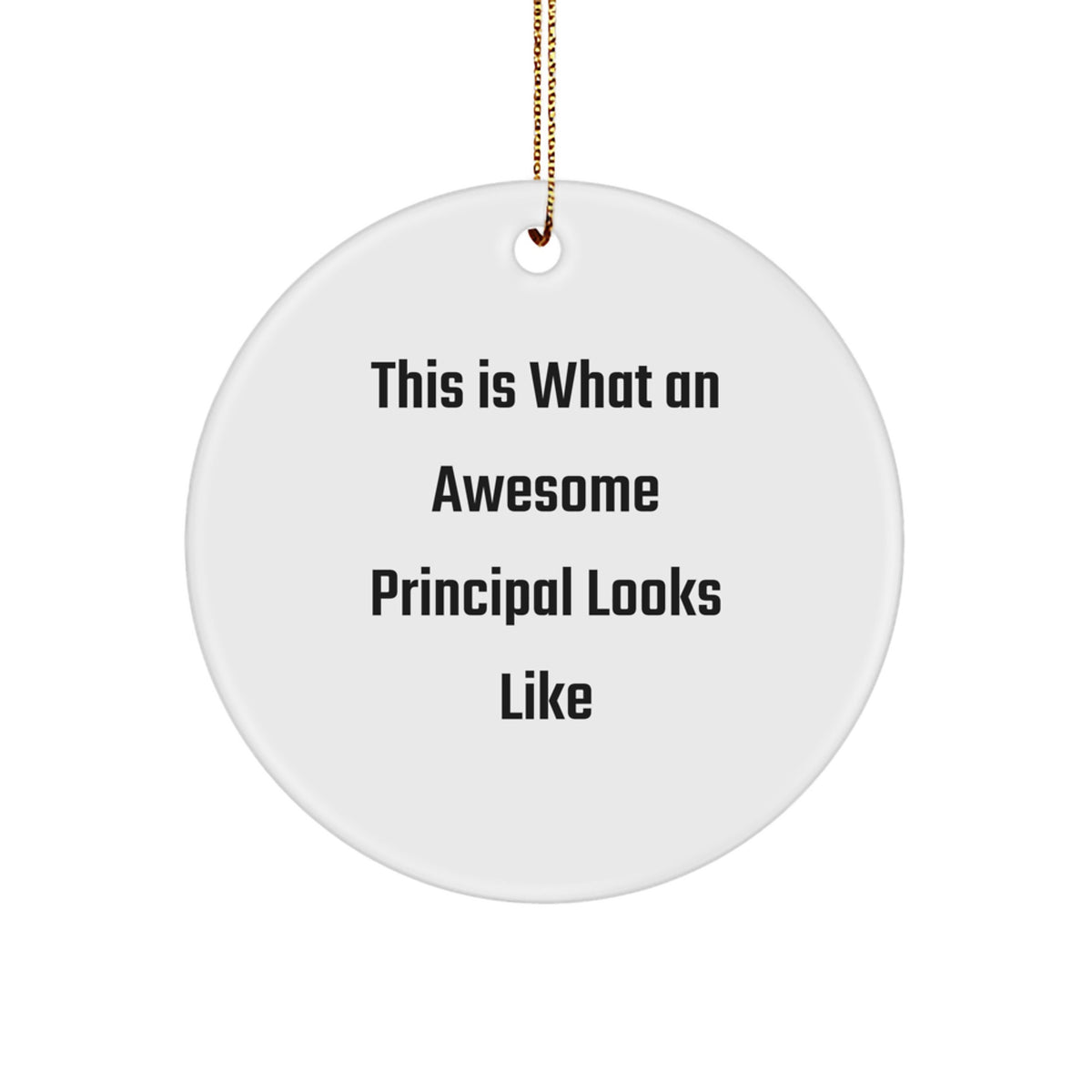 Funny Principal Circle Ornament Gifts from Friends or Family for Principal Men or Women - Christmas Unique Ornaments - Image 1