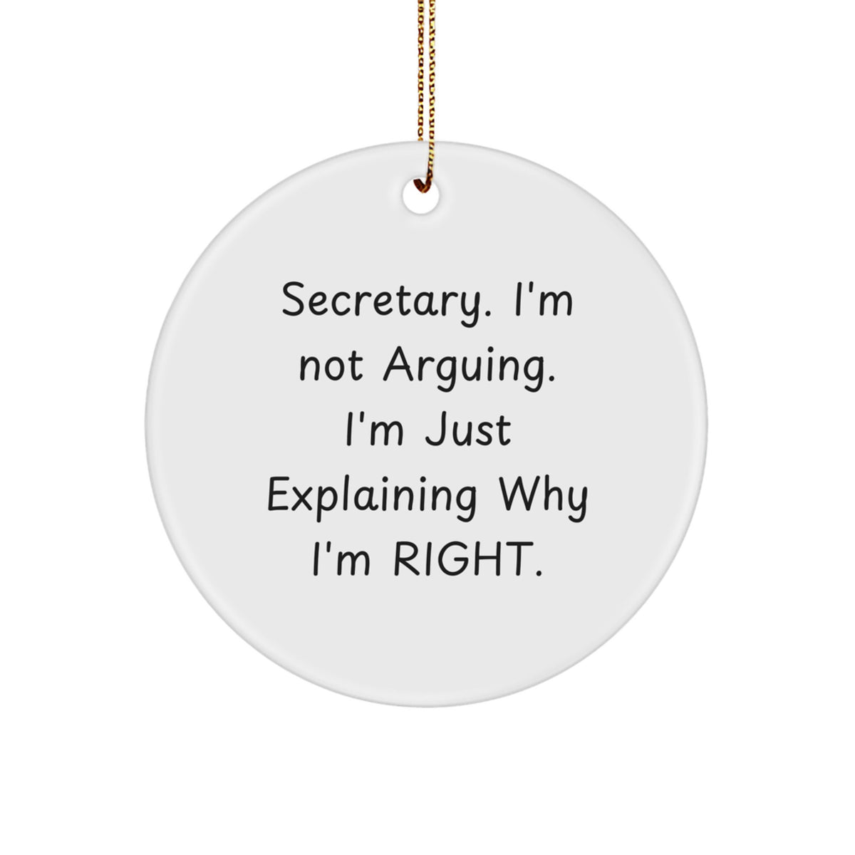 Funny Secretary Circle Ornament Gifts from Friends for Secretaries - Image 1