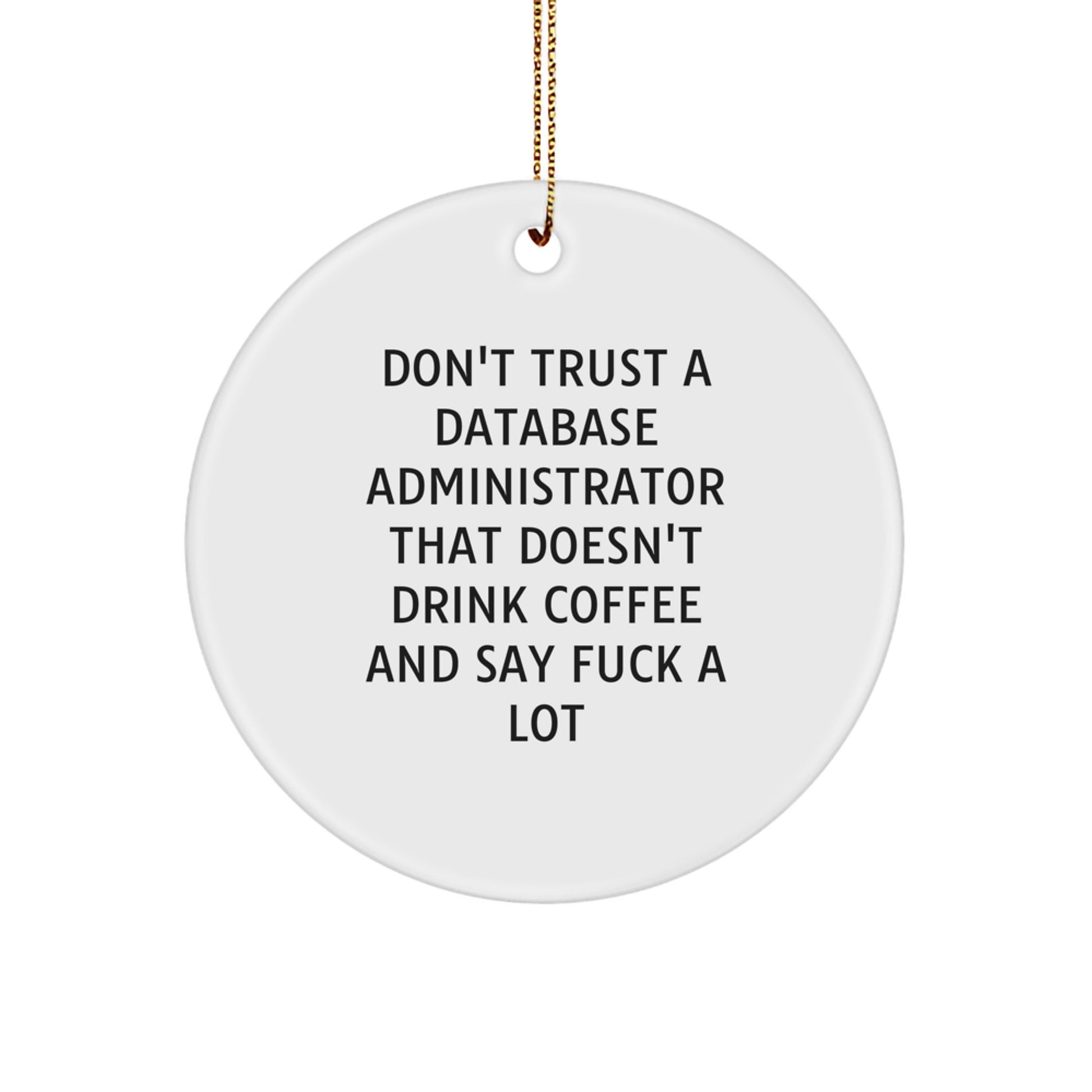 Funny Database Administrator Gifts, Cute Quote Circle Ornament, Gifts for Database Administrator, Funny Holiday Gifts from Friends, Coworkers or Family - Image 1