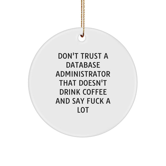 Funny Database Administrator Gifts, Cute Quote Circle Ornament, Gifts for Database Administrator, Funny Holiday Gifts from Friends, Coworkers or Family - Image 1