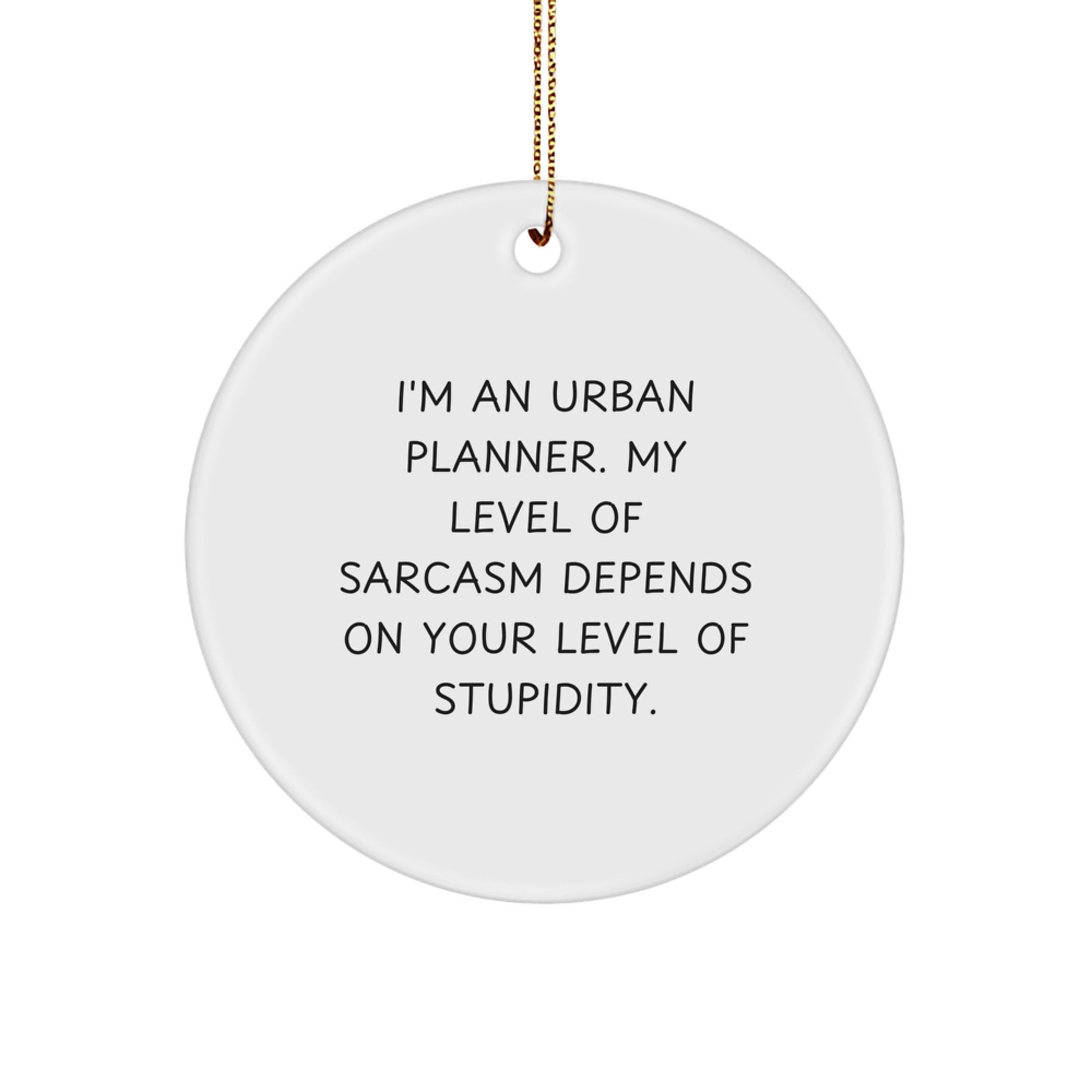Funny Urban Planner Gifts from Friends for Urban Planner Men - Christmas Unique Circle Ornament with 'I'm An Urban Planner. My Level Of Sarcasm Depends On Your Level Of Stupidity.' Quote - Image 1