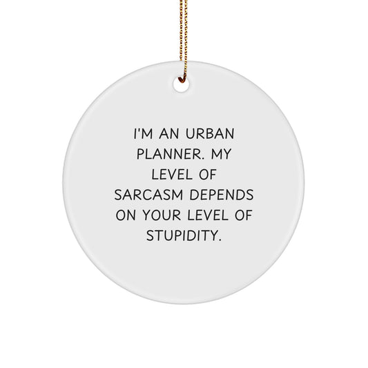 Funny Urban Planner Gifts from Friends for Urban Planner Men - Christmas Unique Circle Ornament with 'I'm An Urban Planner. My Level Of Sarcasm Depends On Your Level Of Stupidity.' Quote - Image 1