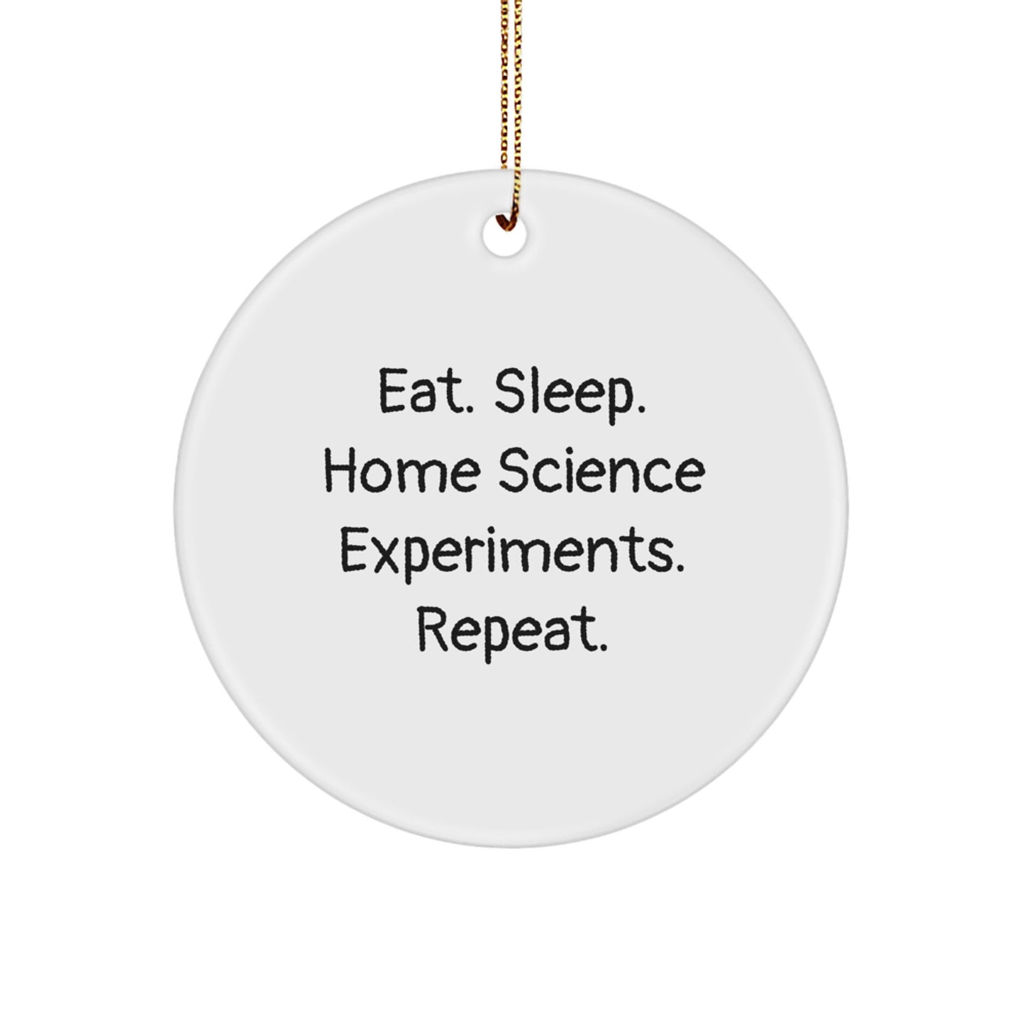 Funny Home Science Experiments Gifts from Friends for Men - Eat. Sleep. Home Science Experiments. Repeat. Christmas Unique Gifts - Image 1