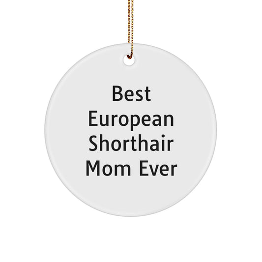 Christmas Unique Gifts for European Shorthair Cat Mom from Friends, Funny Quote Circle Ornament, Personalized Cat Lover Decor - Image 1