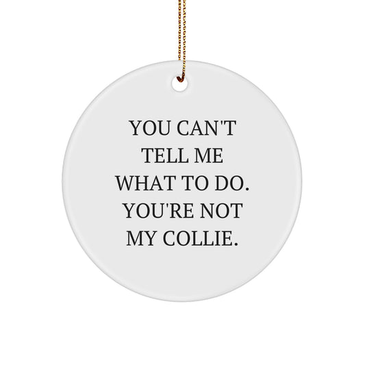 Funny Collie Dog Circle Ornament Gifts from Men or Women to Friends, Family, or Coworkers - Image 1