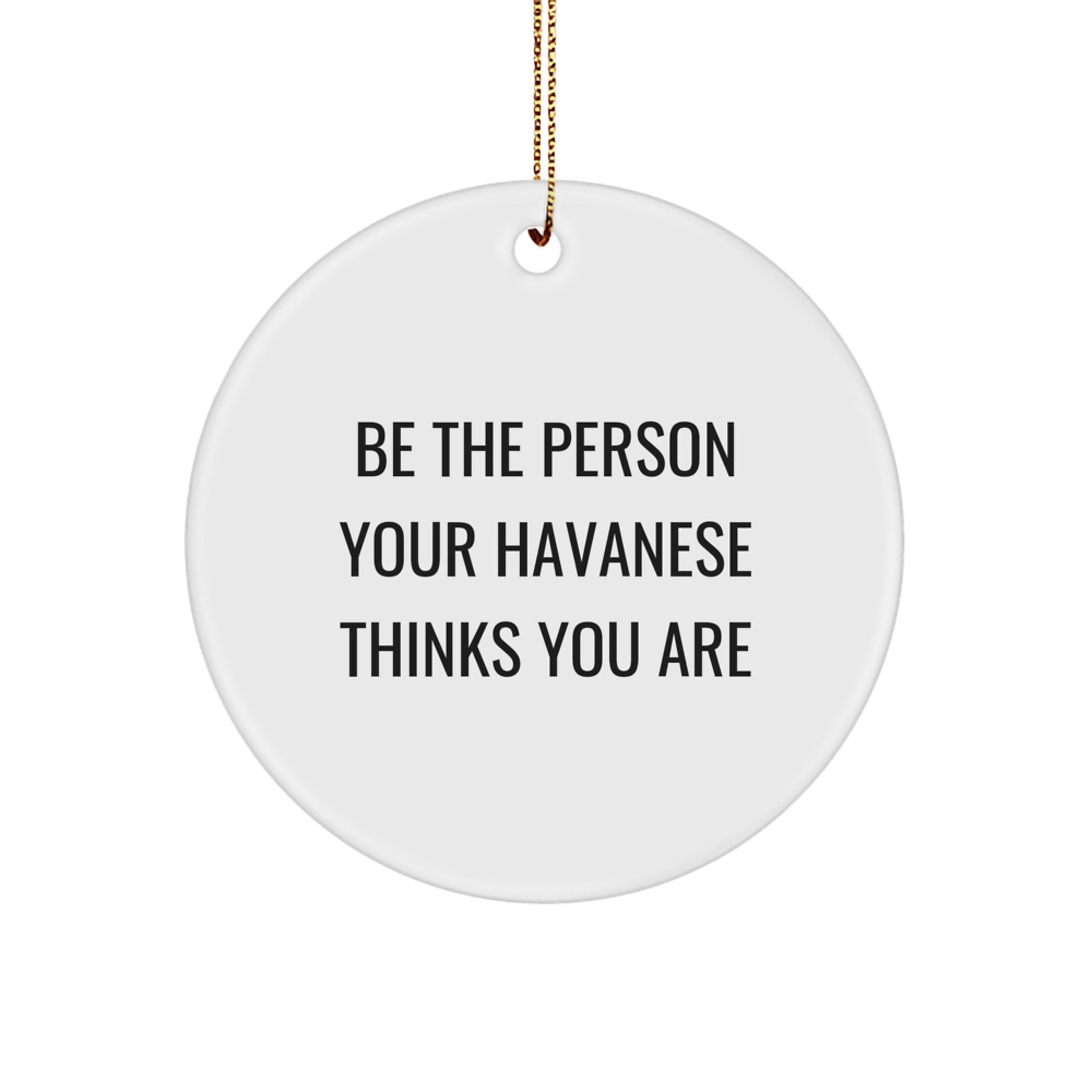 Funny Havanese Dog Christmas Circle Ornaments Gifts from Friends to Havanese Dog Owners, 'Be The Person Your Havanese Thinks You Are' Decorative Wall Hanging - Image 1