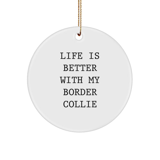 Funny Border Collie Dog Lover Gifts from Family, Christmas Unique Presents for Men, Women, Friends, Coworkers and Family Members - Image 1