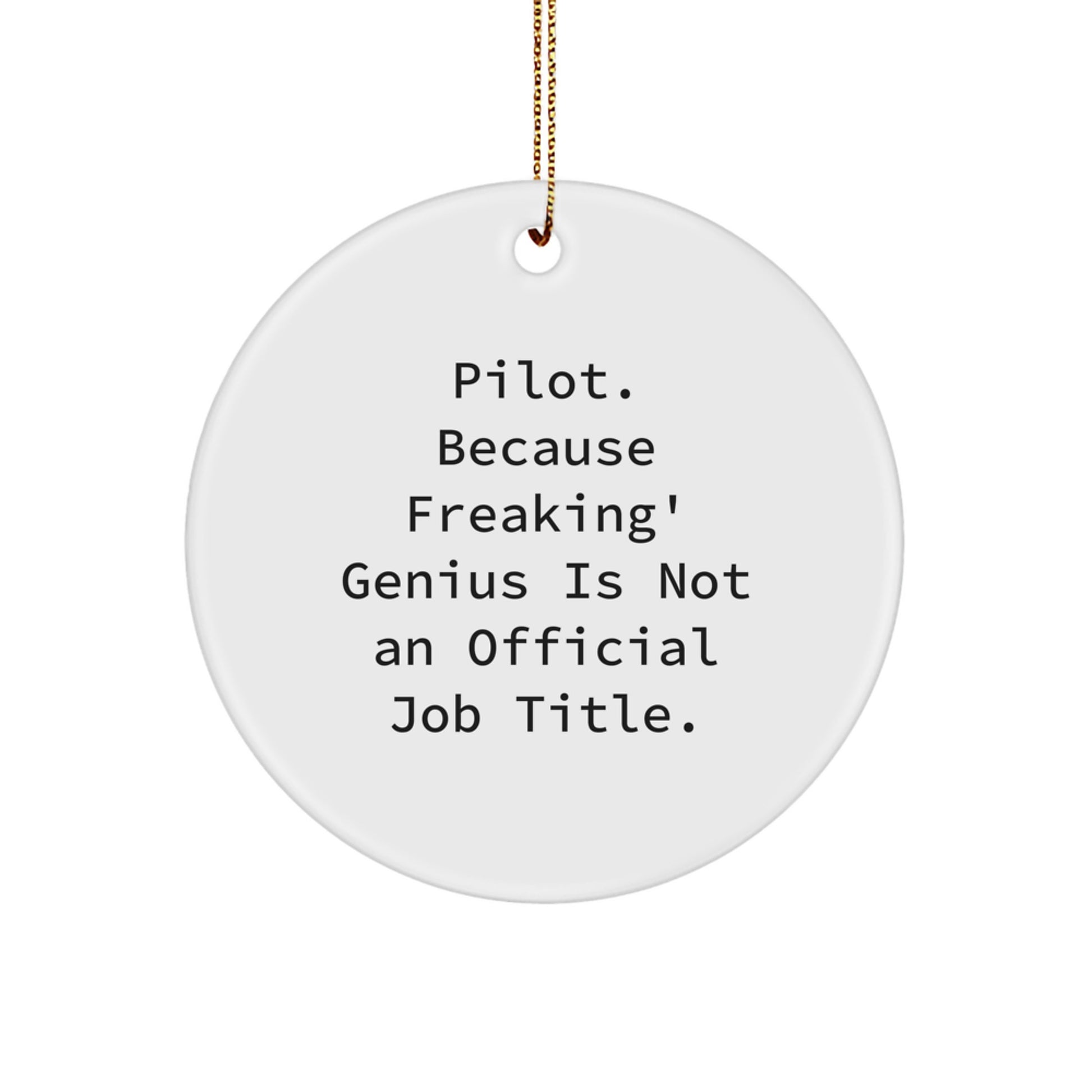 Funny Pilot Circle Ornaments for Christmas, Inspirational Gifts from Friends to Pilot Friends - Image 1