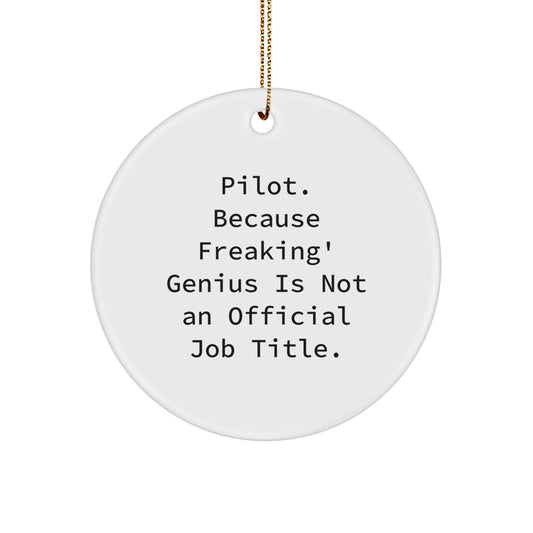 Funny Pilot Circle Ornaments for Christmas, Inspirational Gifts from Friends to Pilot Friends - Image 1