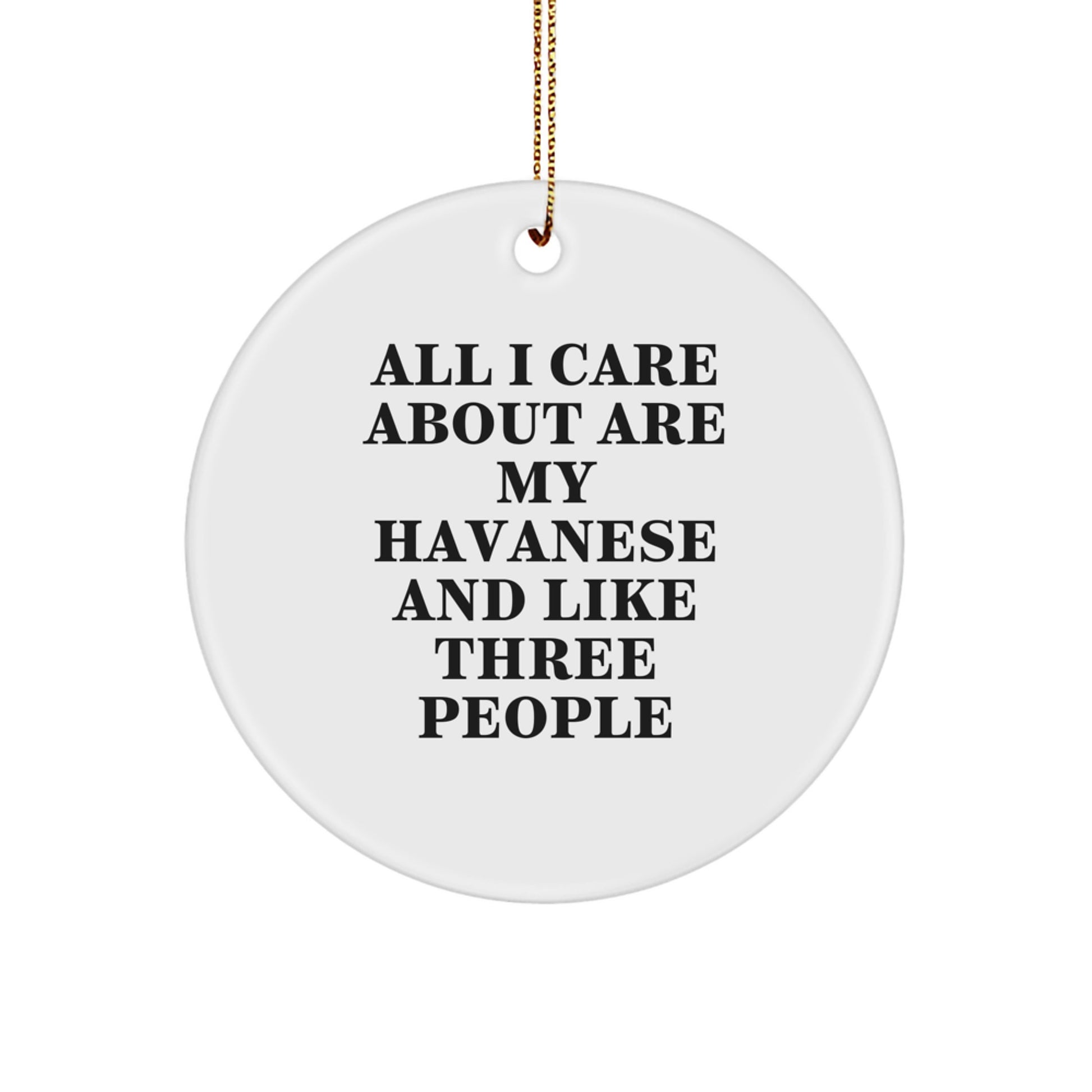 Gifts from Family Members - Funny Havanese Dog Lover Circle Ornament for Christmas Unique Gifts - Image 1