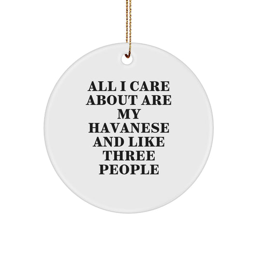 Gifts from Family Members - Funny Havanese Dog Lover Circle Ornament for Christmas Unique Gifts - Image 1