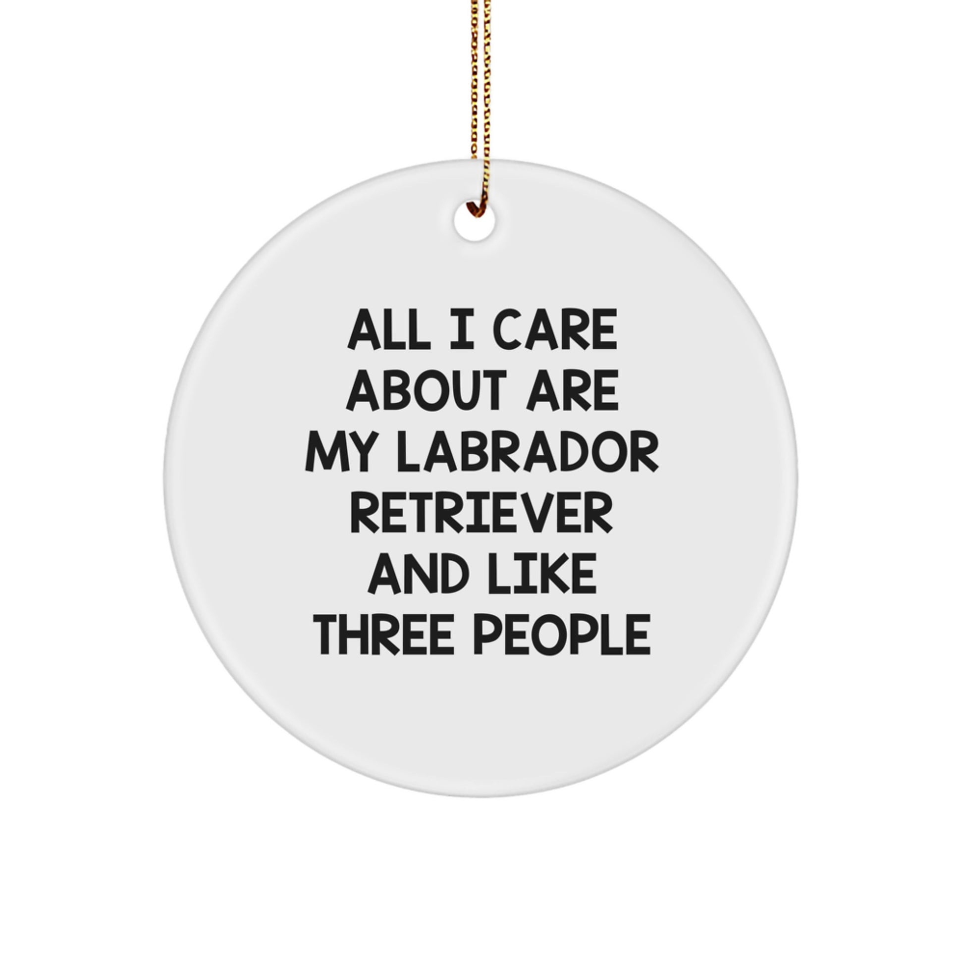 Labrador Retriever Dog Circle Ornament Funny Quote Gifts for Men Women Friends Family - Image 1