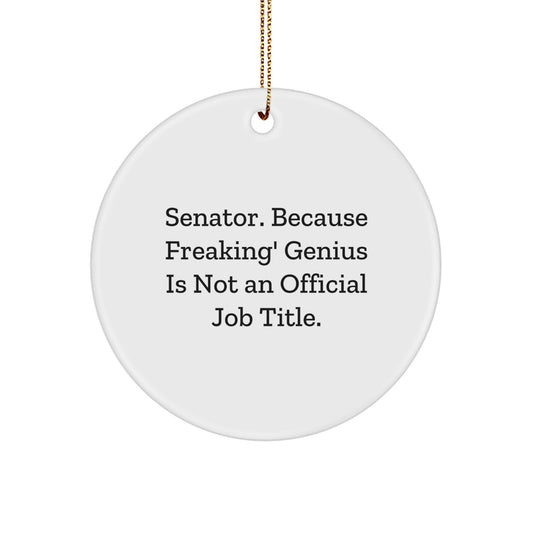 Senator Gifts from Men, Unique Circle Ornaments for Senator, Funny Senator Quotes Christmas Decorations - Image 1