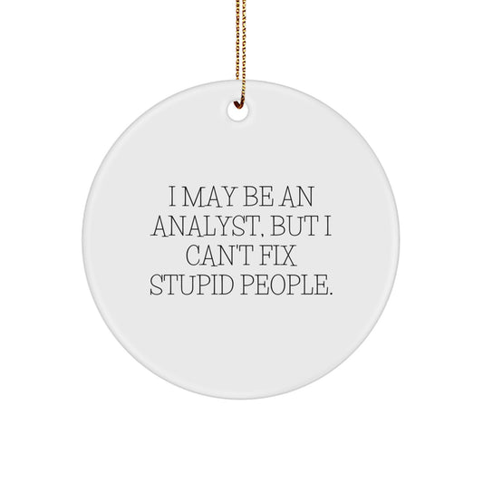 Funny Analyst Gifts for Men Friends Coworkers - 'I May Be An Analyst, But I Can't Fix Stupid People.' Circle Ornament, White, 2.75'' Tall, Christmas Unique Gifts - Image 1