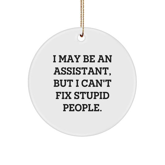Funny Assistant Gifts for Women Friends Family - I May Be An Assistant Circle Ornament, Christmas Unique Gifts, Assistant Decoration, Assistant Lover, Friends and Family Unique Gift - Image 1