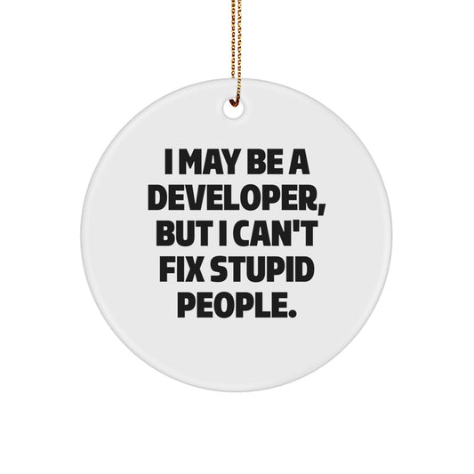 Funny Developer Gifts from Men, 'I May Be A Developer, But I Can't Fix Stupid People.' Christmas Unique Circle Ornament for Developer Friends - Image 1