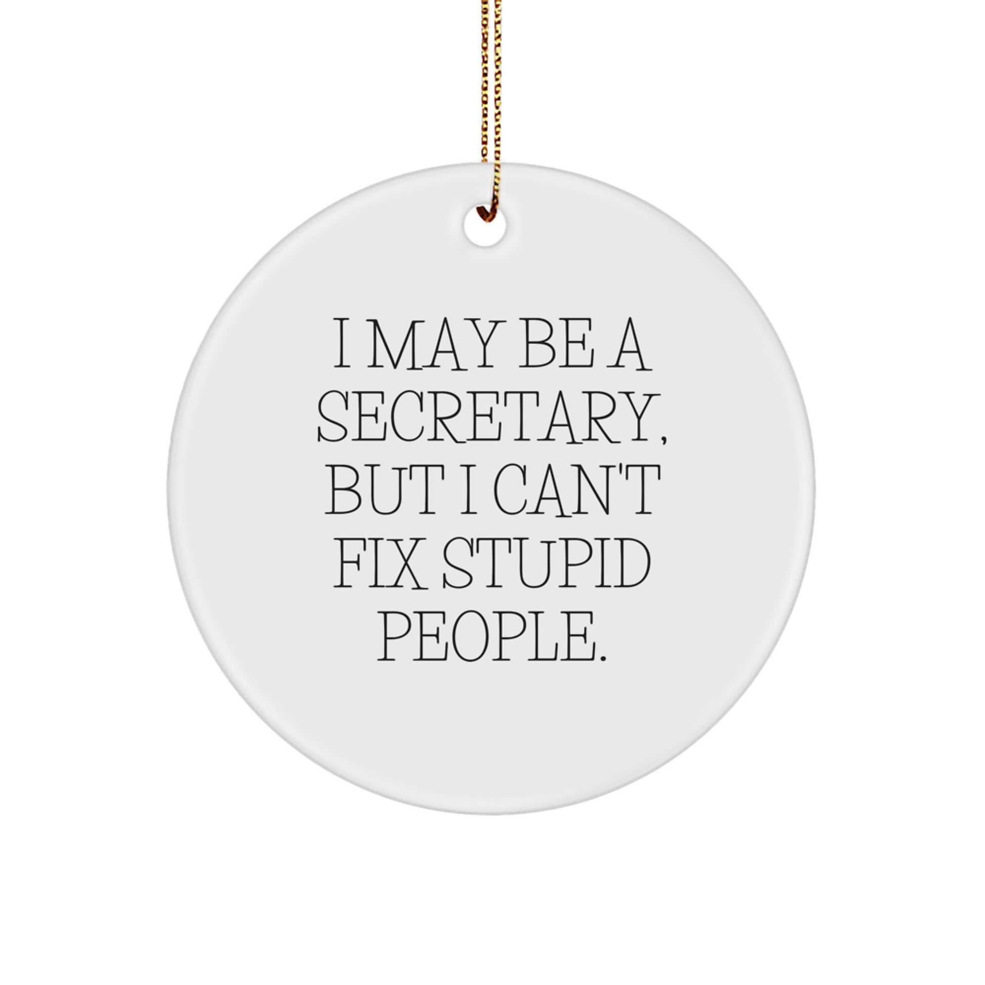 Funny Secretary Gifts from Friends Christmas Circle Ornament 'I May Be A Secretary, But I Can't Fix Stupid People.' - Image 1