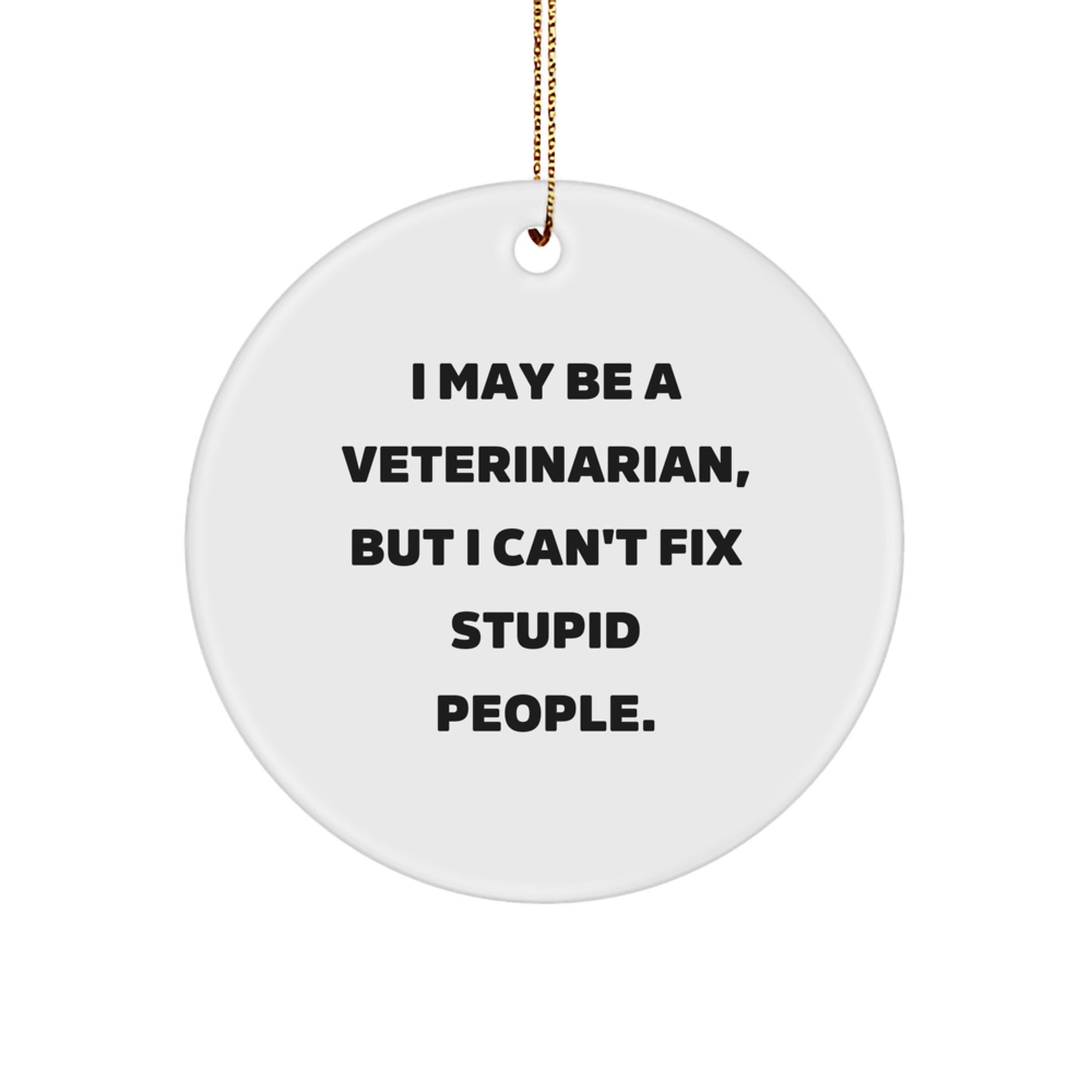 Funny Veterinarian Gifts from Men Friends to Friends for Veterinarian Men, I May Be A Veterinarian, But I Can't Fix Stupid People. Circle Ornament for Christmas - Image 1