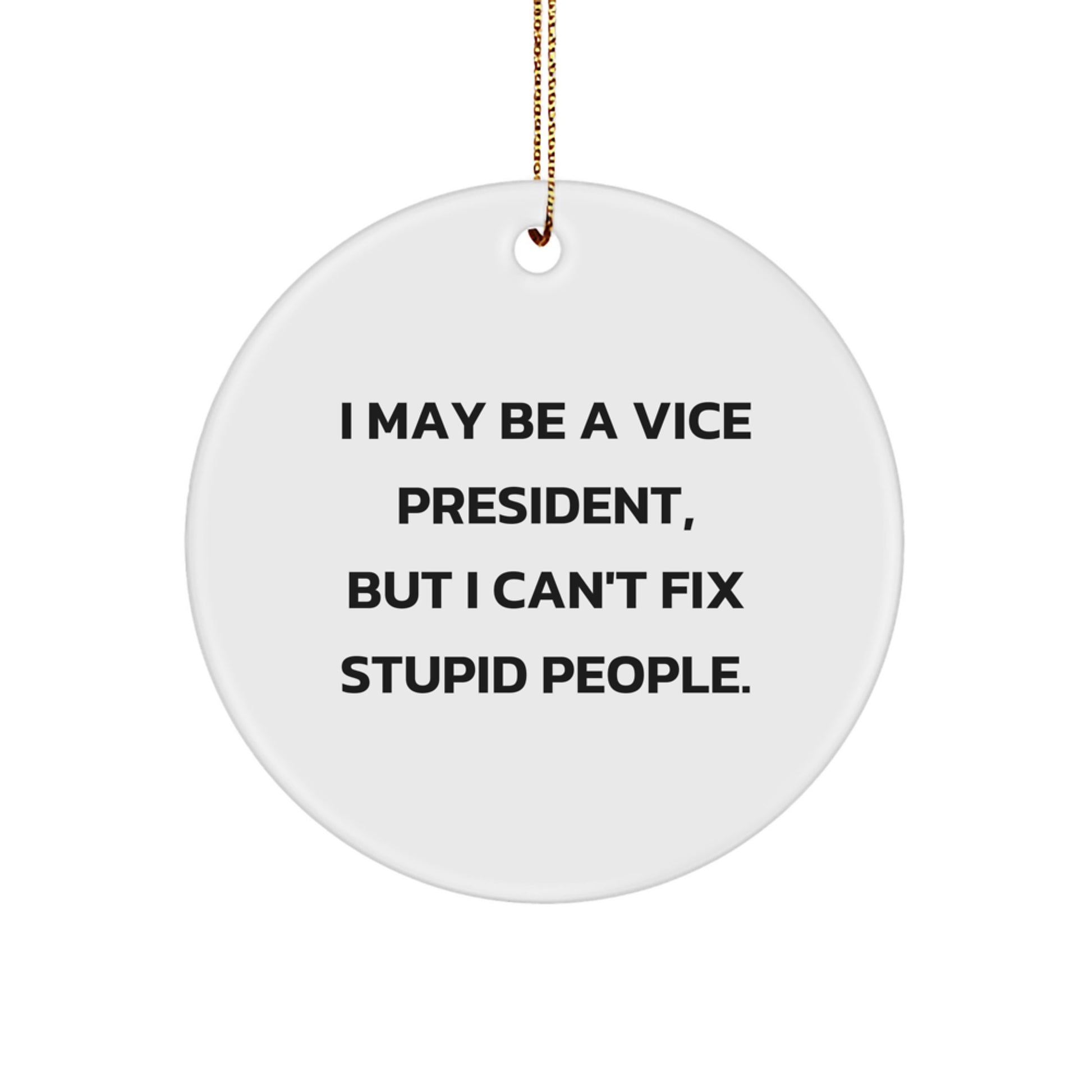 Funny Vice President Gifts from Friends - I May Be A Vice President, But I Can't Fix Stupid People. Circle Ornament for Christmas Unique Gifts for Vice President Men - Image 1