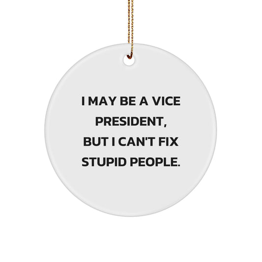 Funny Vice President Gifts from Friends - I May Be A Vice President, But I Can't Fix Stupid People. Circle Ornament for Christmas Unique Gifts for Vice President Men - Image 1