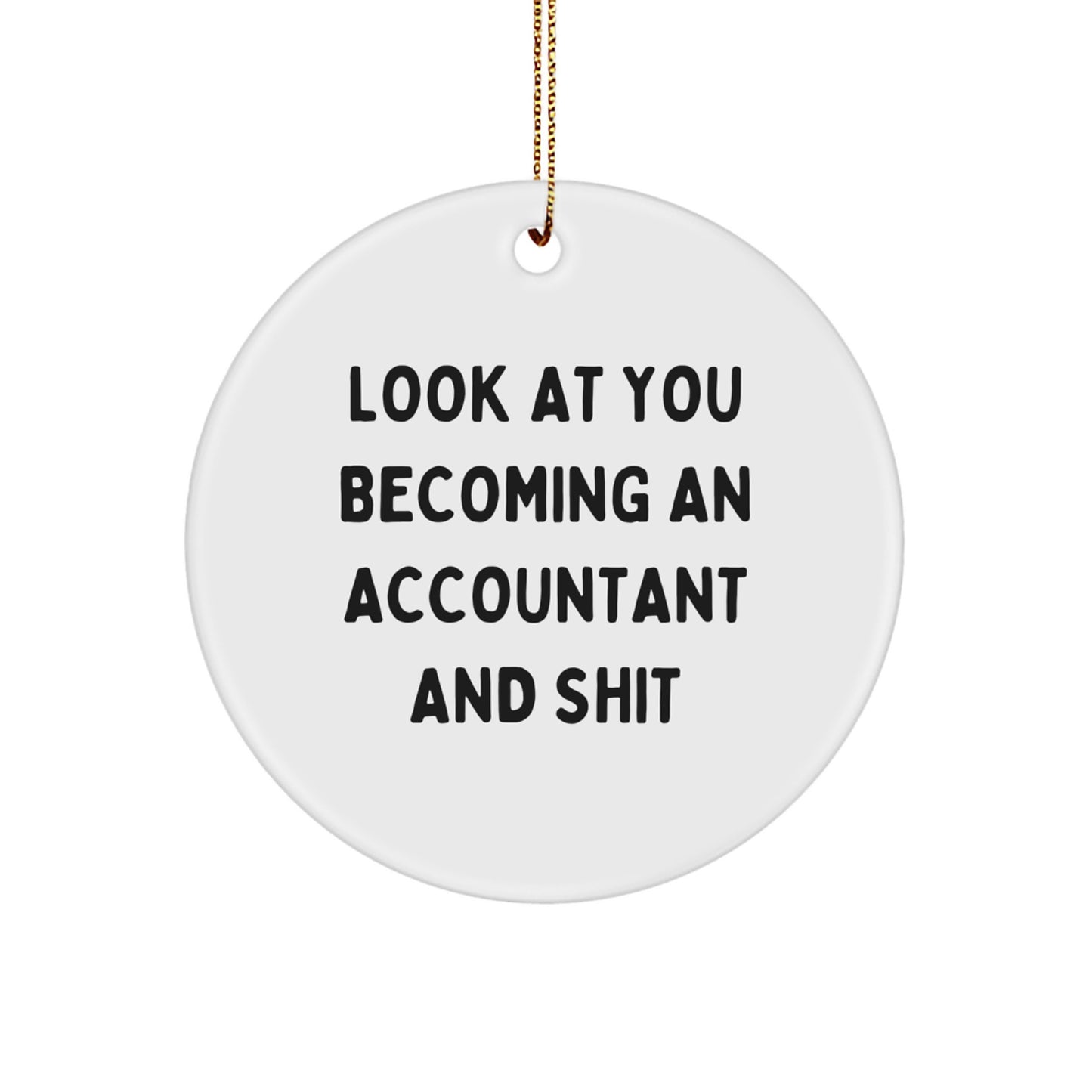 Christmas Gift Ornament for Her Present Accountant Humor - Image 1