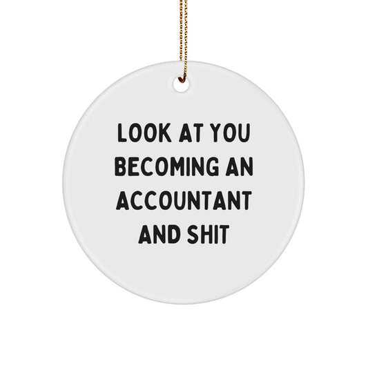 Christmas Gift Ornament for Her Present Accountant Humor - Image 1