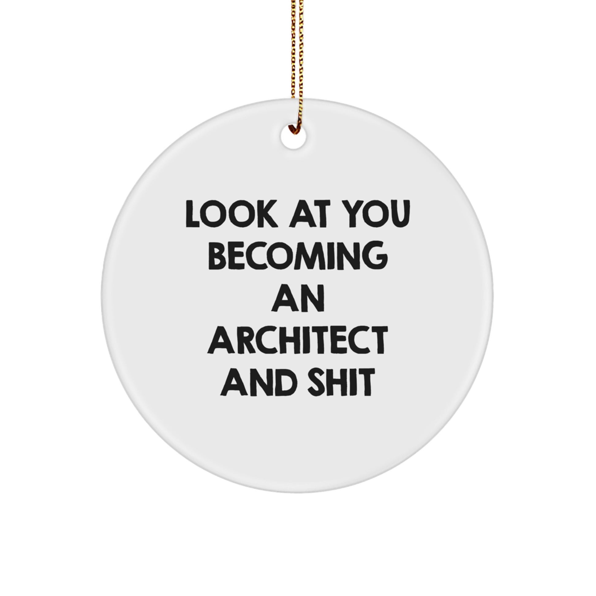 Funny Architect Gifts for Him, Circle Ornament with Look At You Becoming An Architect And Shit, Christmas Unique Presents from Friends - Image 1
