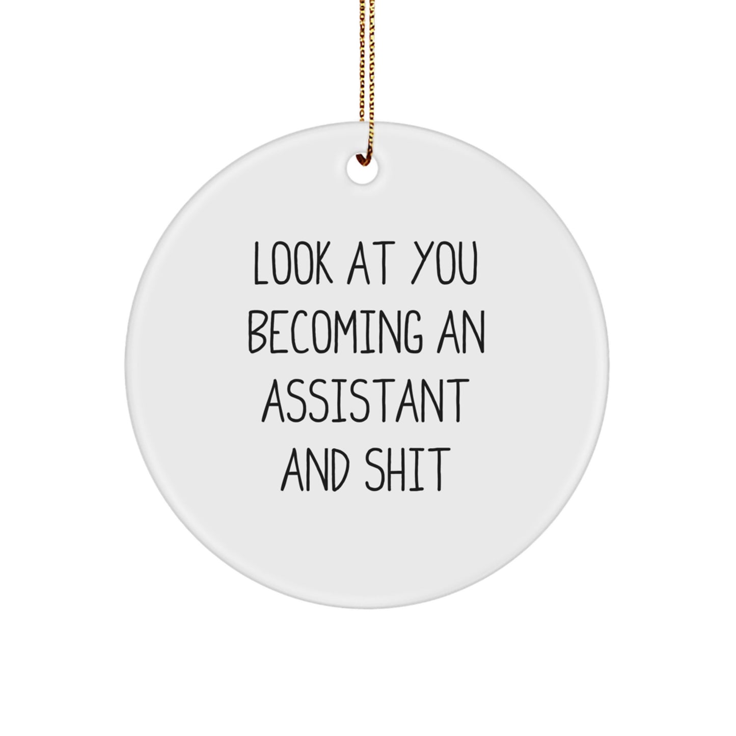 Funny Assistant Gifts from Men to Assistants for Christmas Unique Circle Ornaments - Image 1