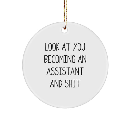 Funny Assistant Gifts from Men to Assistants for Christmas Unique Circle Ornaments - Image 1