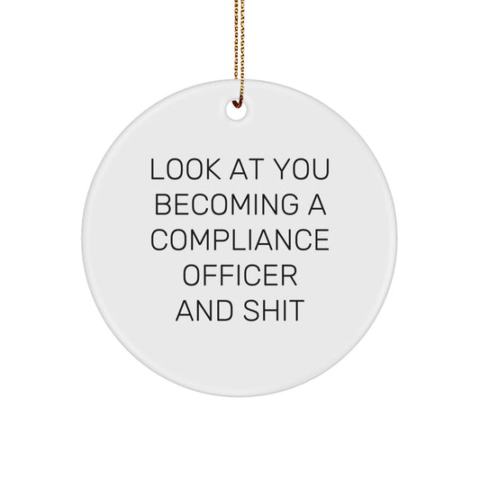 For Him Compliance Officer Keepsake Look At You Christmas Ornament Gift - Image 1