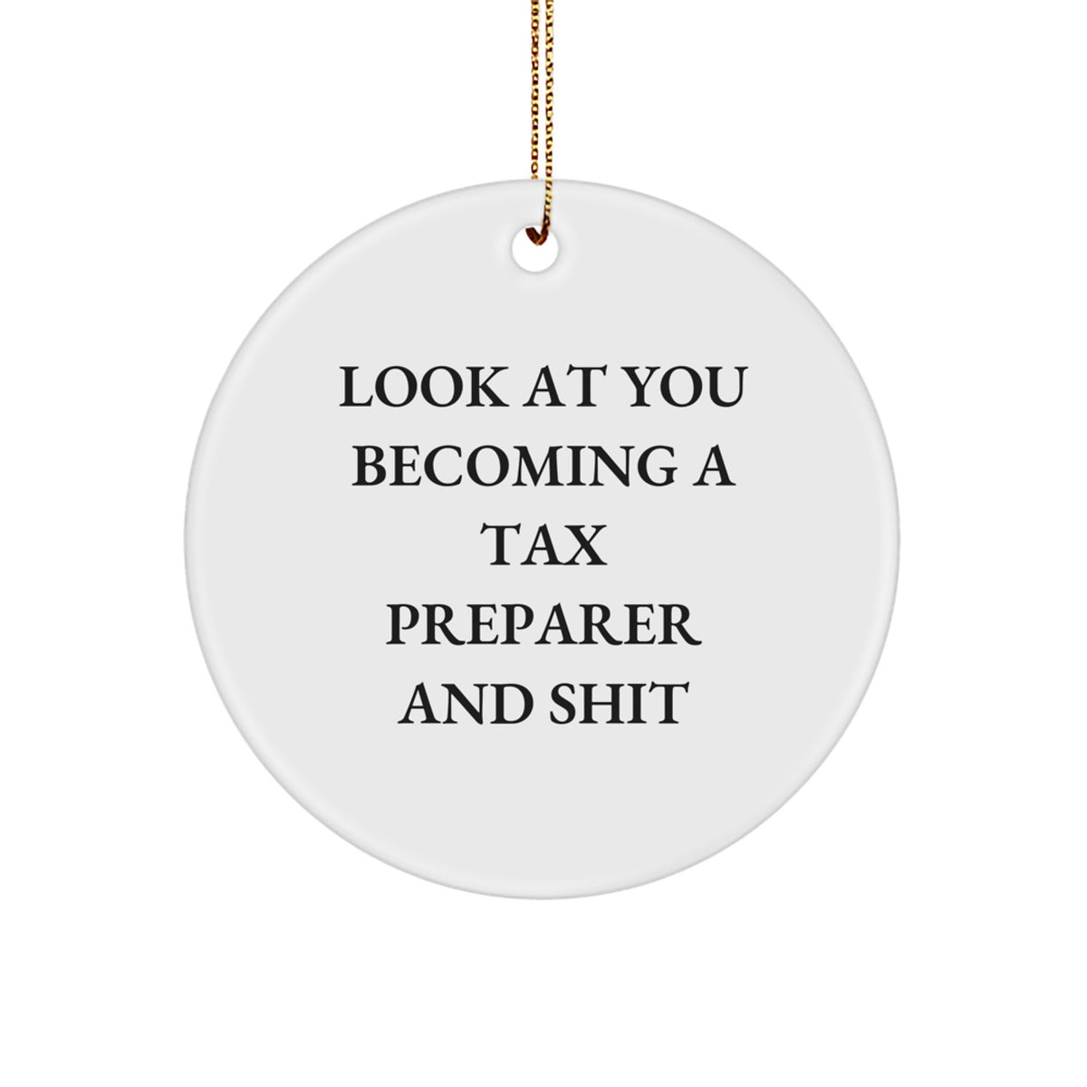 Tax Preparer Circle Ornament for a Best Friend Companion Christmas Gift - Image 1