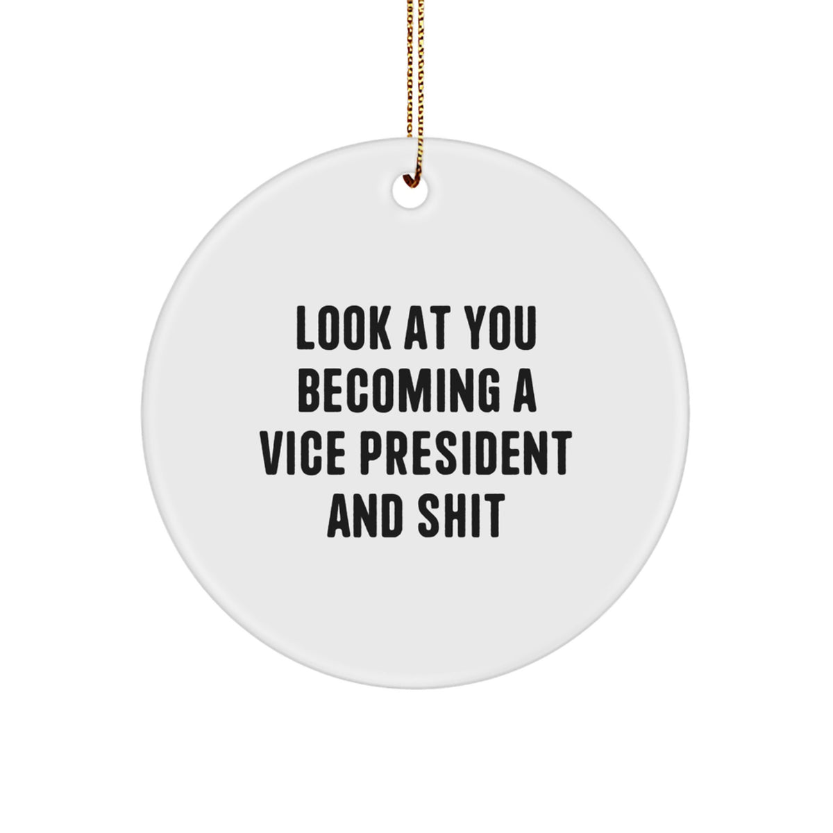Funny Vice President Circle Ornament Gifts from Friends for Vice President Men - Image 1