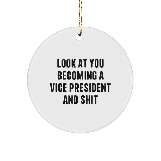 Funny Vice President Circle Ornament Gifts from Friends for Vice President Men - Image 1