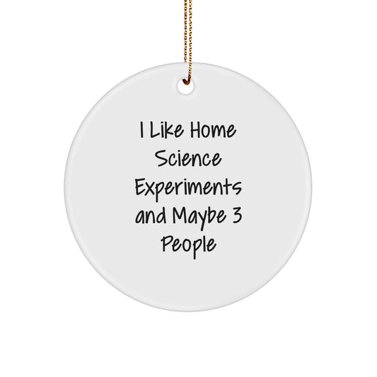 Funny Home Science Experiments Gifts from Friends - Circle Ornament for Home Science Experiments Enthusiasts, Christmas Unique Decorations - Image 1