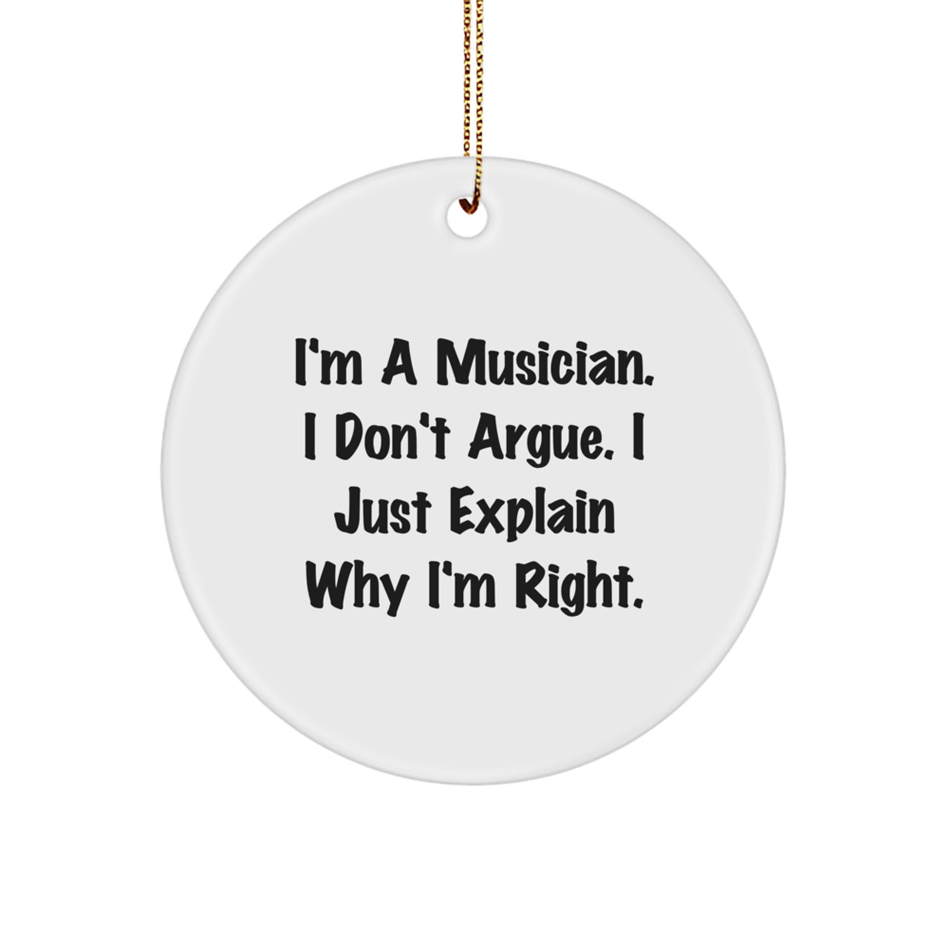 Funny Musician Gifts from Men Christmas Unique Ornaments for Musician Friends - Image 1